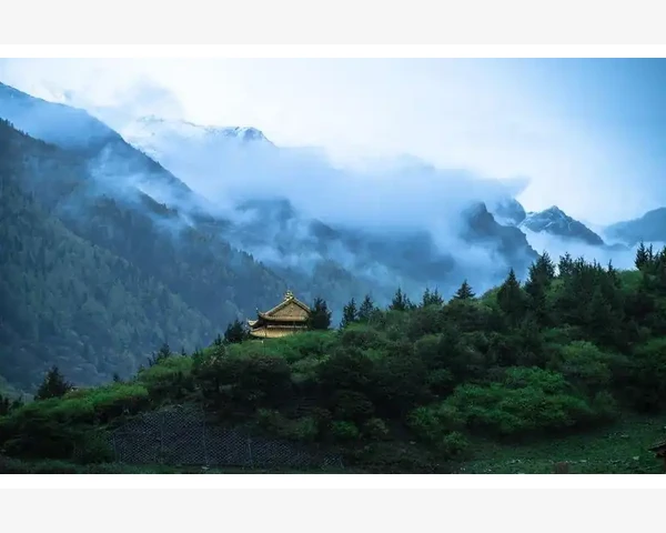 神奇草药的力量：耳鸣中药方剂